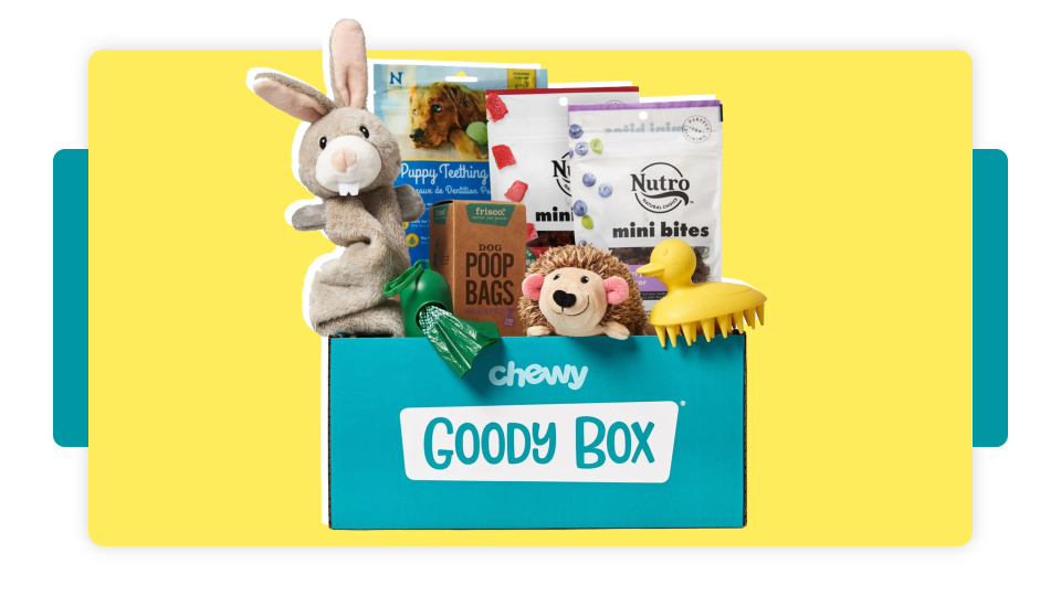 Best gifts under $100: Goody Box