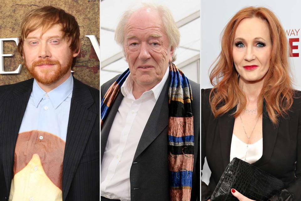 <p>Cindy Ord/Getty, Nick Harvey/WireImage, Cindy Ord/WireImage</p> From L: Rupert Grint, Michael Gambon, J.K. Rowling
