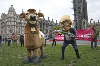 A demonstrator dressed as Donald Trump holding a syringe pretends to inject a pantomime cow during the Stop Trump Coalition protest in Parliament Square, London, Saturday, Oct. 24, 2020 ahead of the US Presidential election on Nov. 3. (Jonathan Brady/PA via AP)