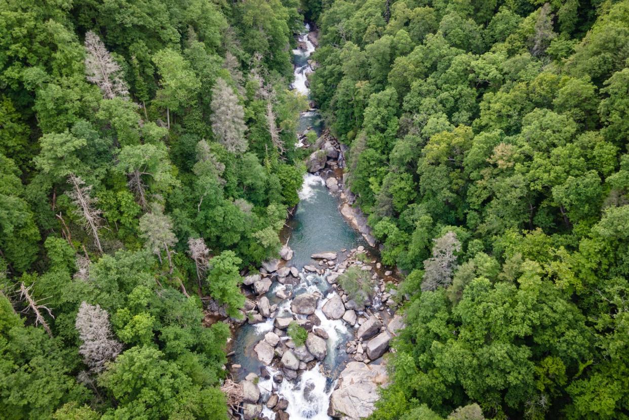 Drone View of River Gorge in Blue Ridge Mountains of North Carolina