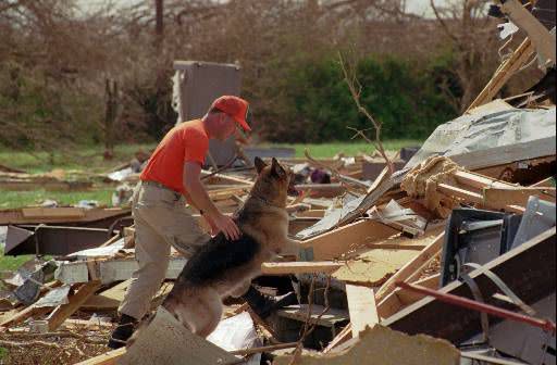 Searching through debris after Hurricane Andrew.(AP Photo)