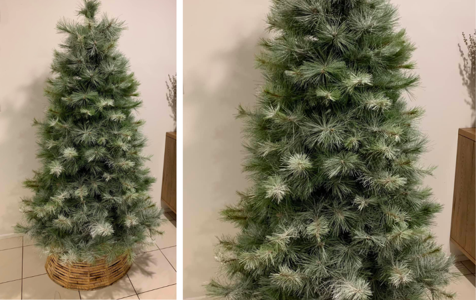 Christmas tree fluffed out