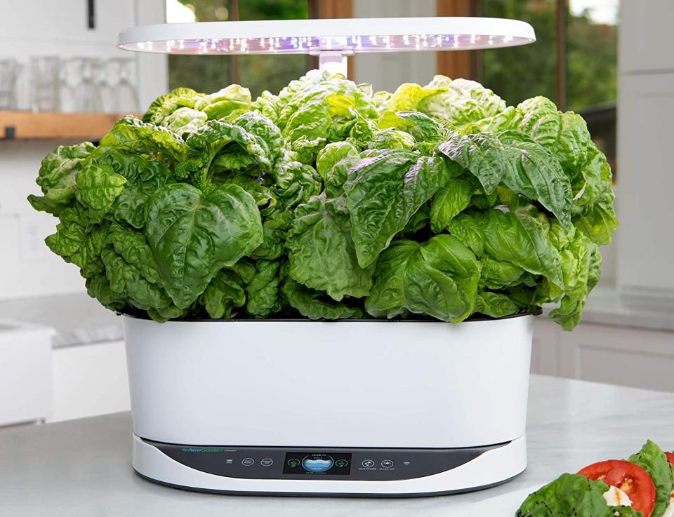 AeroGarden Indoor Hydroponic Garden