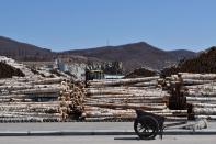 Logs are seen at a wood factory in Suifenhe