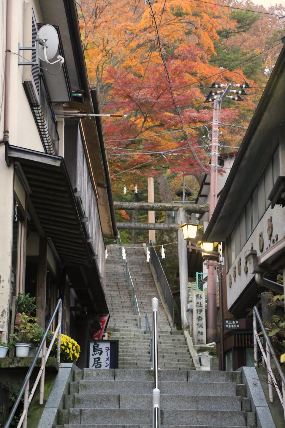 石段街上方被深秋紅葉籠罩，景色十分夢幻。