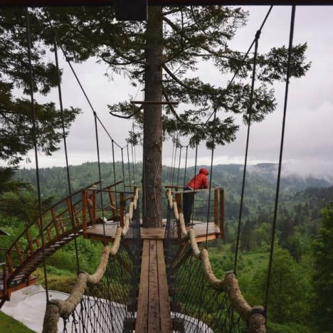 tree house skate park washington state