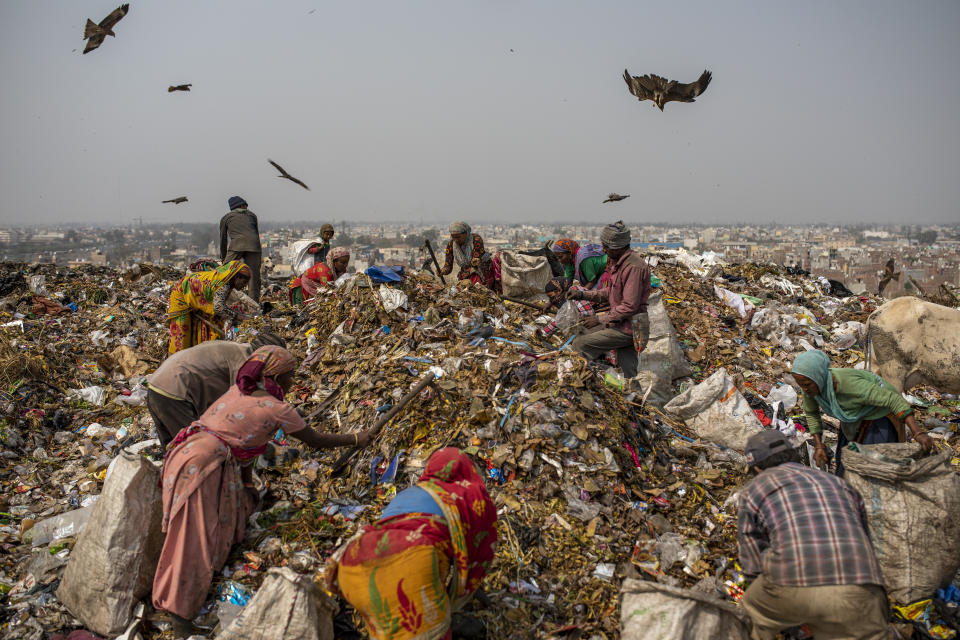 Trash collectors look for recyclables at Bhalswa landfill on the outskirts of New Delhi, India, Wednesday, March 10, 2021. An estimated 20 million people around the world help keep cities clean by scavenging through landfills and dumps. Experts say these trash pickers, who sometimes toil alongside paid municipal sanitation workers, provide a vital service, yet they usually are not on a priority list for vaccines against the coronavirus. (AP Photo/Altaf Qadri)