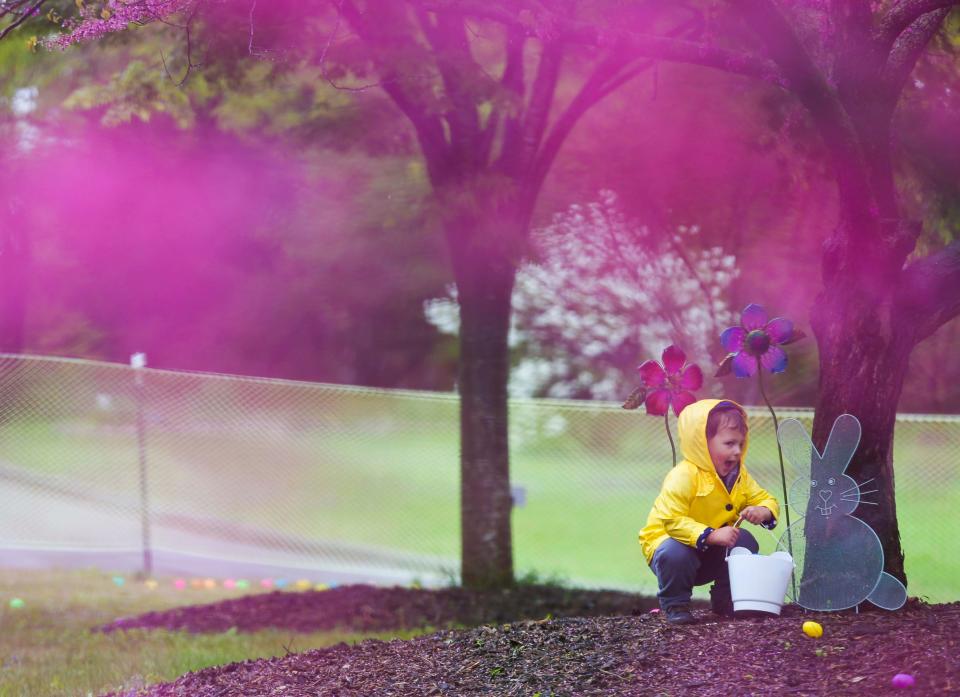 Thomas McNulty, 2, searches during an Easter egg hunt at the Louisville Zoo. April 20, 2019