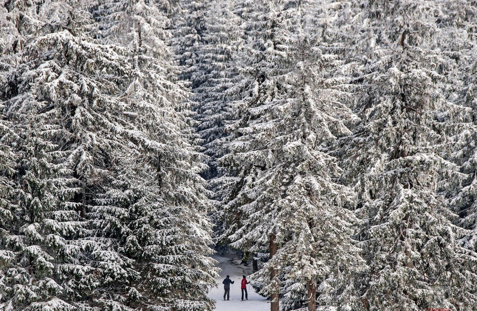 Snow in Germany