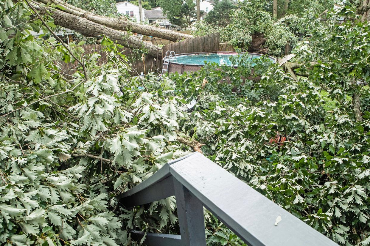 Fallen trees are featured in Cherokee Woods in Ogletown, Tuesday, Aug. 8, 2023, after a severe storm hit the day before.