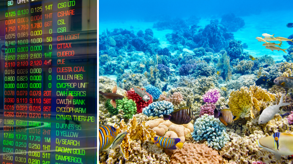 The ASX board with company price changes and underwater coral and tropical fish.