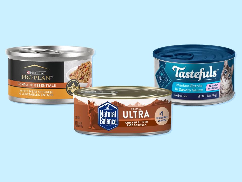 Purina Pro Plan Complete Essentials, Natural Balance Original Ultra, and Blue Buffalo Tastefuls are shown together in front of a light blue background.
