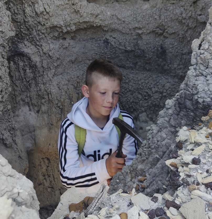 En esta fotografía proporcionada por Giant Screen Films, Jessin Fisher excava en busca de fósiles en terrenos públicos cerca de su casa en Marmath, Dakota del Norte.