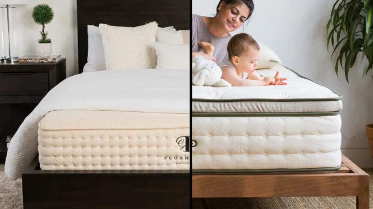  PlushBeds Botanical Bliss vs Avocado Green Mattress . 