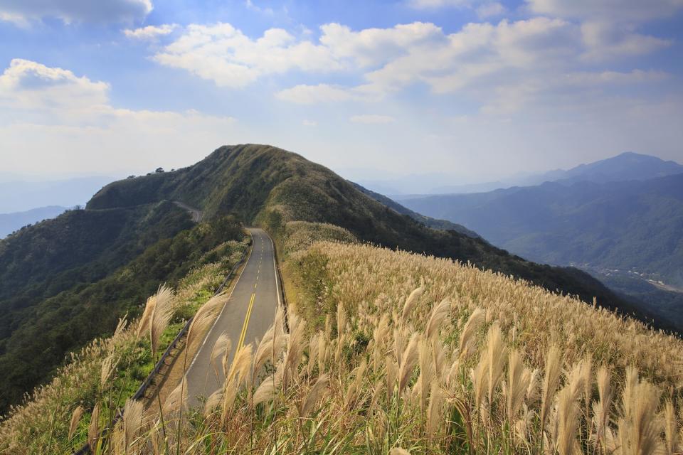 不厭亭公路兩側也有芒花花海（圖片來源：Getty Creative）