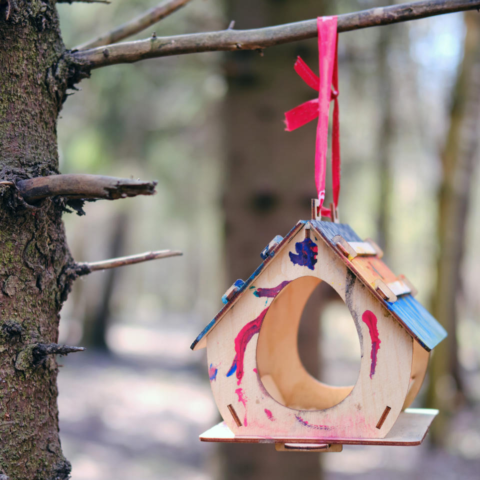 BUILD A BIRD FEEDER