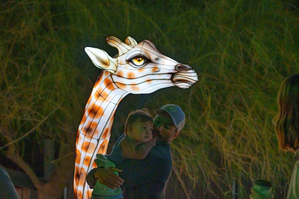 Kody Bello carries his son, Luca Bello, 1, to see a giraffe lantern at Zoolights at the Phoenix Zoo on Nov. 25, 2023, in Phoenix.