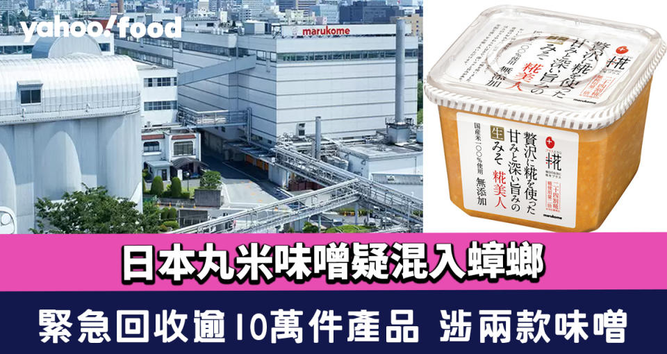 日本丸米味噌疑混入蟑螂 緊急回收逾10萬件產品 涉兩款味噌
