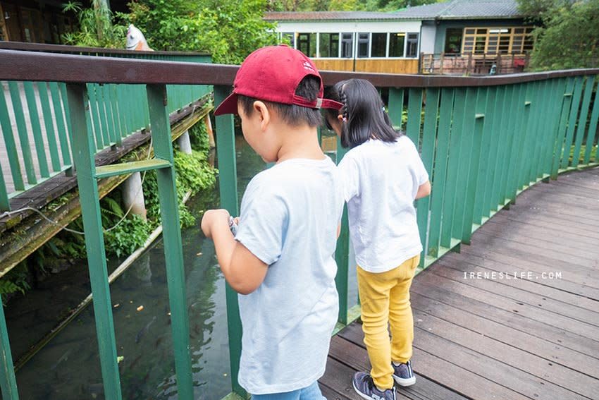 花蓮｜馬太鞍溼地生態園區