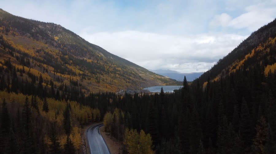 Fall leaves - Guanella Pass 9_1