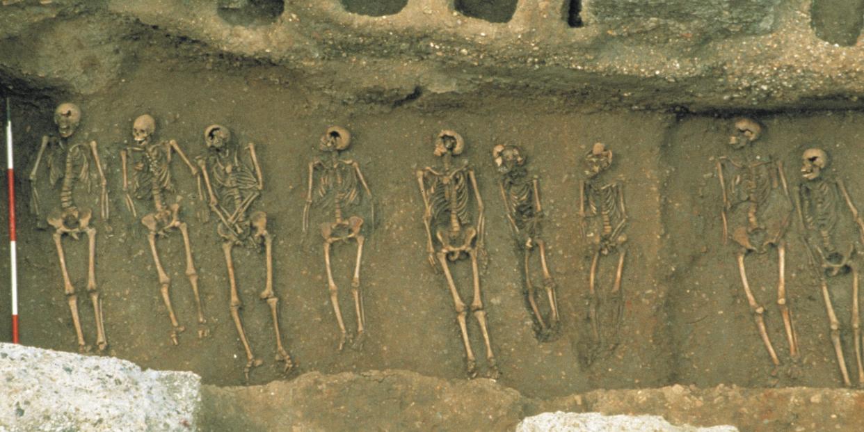 An arial view shows remains buried side by side in the East Smithfield plague pits between 1348 and 1349.