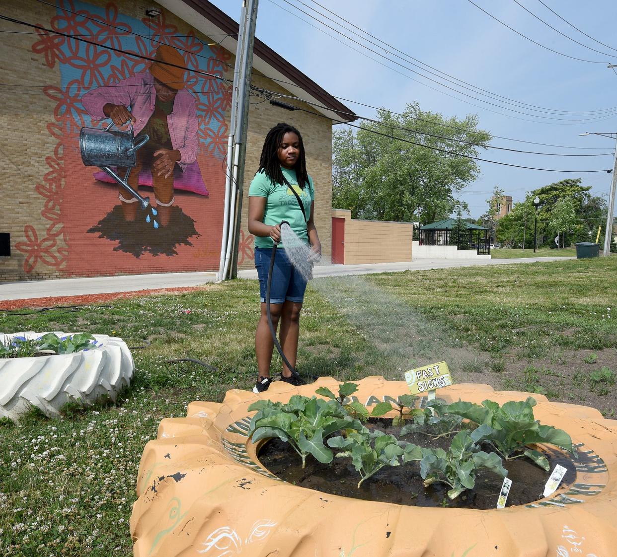 Raven Hoskins waters the vegetable and flower beds outside the Arthur Lesow Community Center in Monroe. Behind is the mural painted by artist Richard Wilson, a native of London, United Kingdom, who gained local attention for his work as a muralist in Detroit.