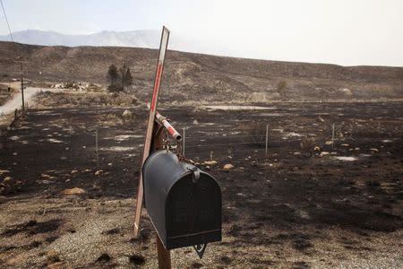 A mailbox stands in a scorched countryside that was hit by the Carlton Complex fire near Pateros, Washington July 19, 2014. REUTERS/David Ryder