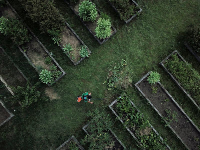 A person works in the Horta de Manguinhos at the Manguinhos favela in Rio de Janeiro