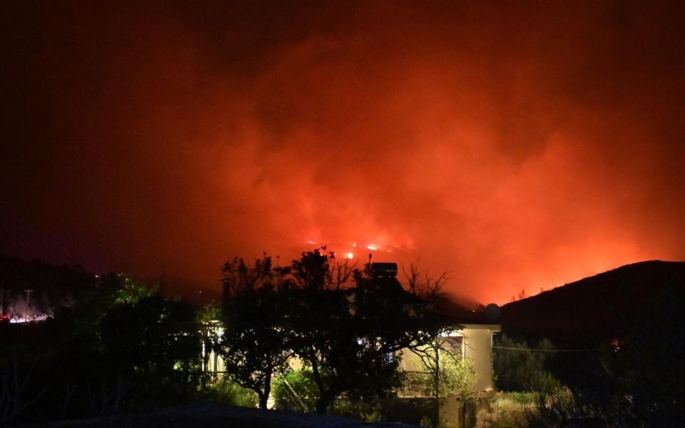 Δασικές πυρκαγιές στη Χίο