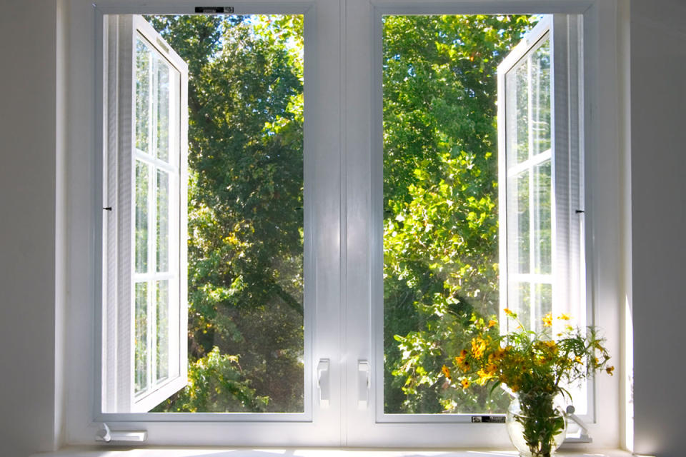 Tener una vista de árboles por tu ventana ayudaría a disminuir los antojos. Foto: Blair_witch / iStockphoto