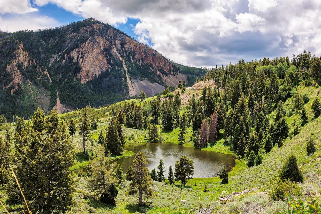 Yellowstone National Park