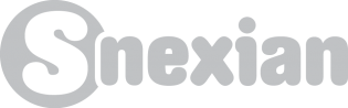 S Nexian logo_grey2