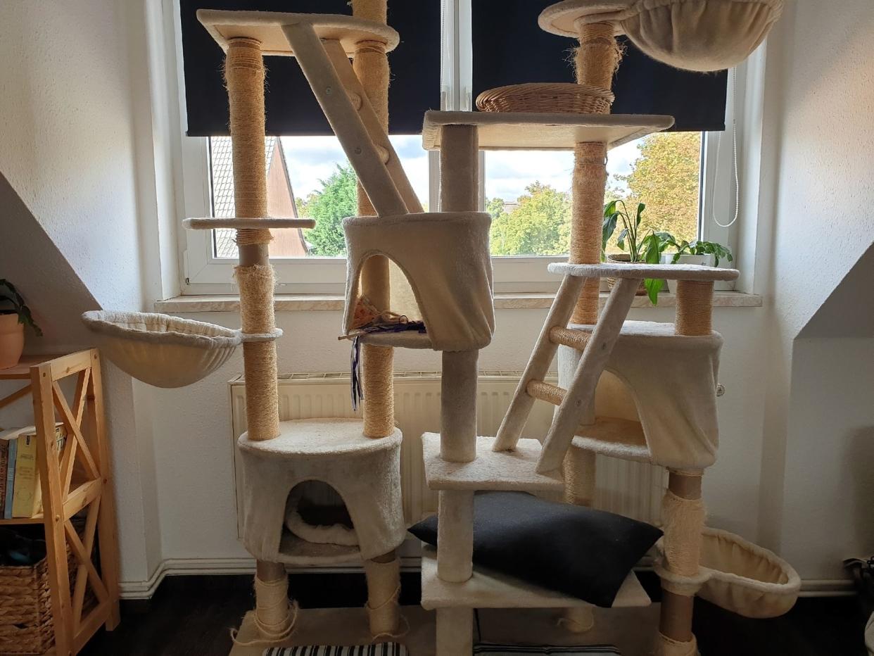 Climbing tree for cats in the apartment