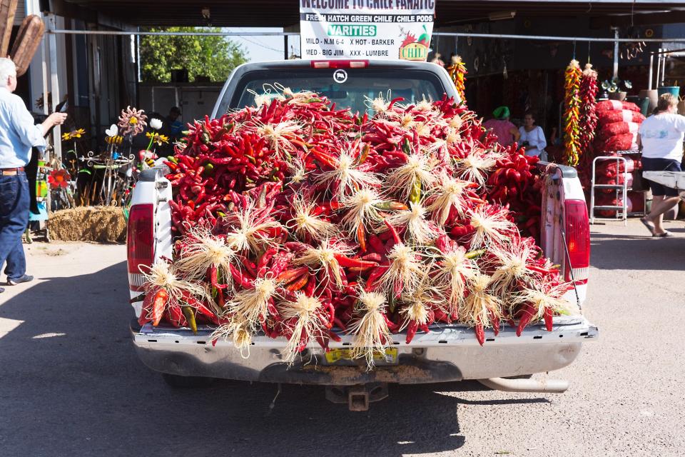 A Hatch chile harvest in New Mexico.