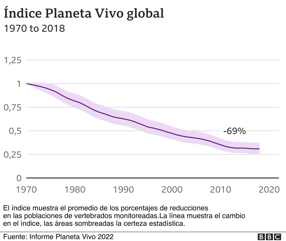 Gráfica del Informe Planeta Vivo que muestra la reducción de animales a nivel mundial.