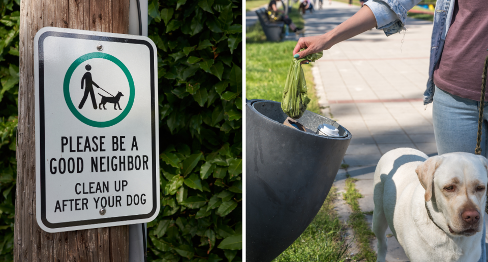 Sign asking for owners to clean up after dogs (left) and a dog owner dropping a poo bag in a bin (right).