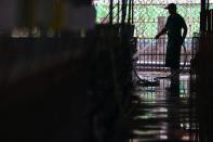 A staff member cleans a pig farm in Pingtung