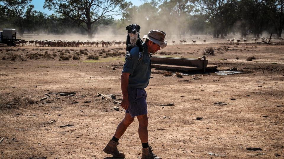 Farmers Continue To Struggle As NSW Suffers Through Worst Drought On Record