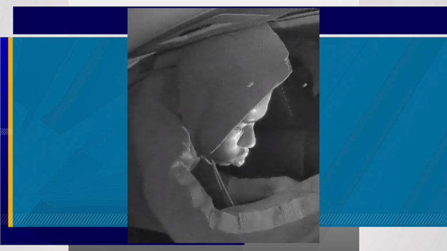 Metro police search for a suspect accused of burglarizing a vehicle near Charleston Boulevard and Fort Apache Road on Aug. 11, 2023 (LVMPD)