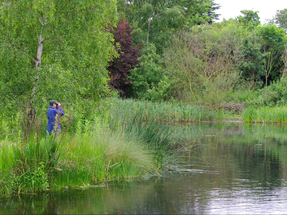  The London Wetland centre in Barnes will host hundreds of people in an effort to improve their mental health through spending time in wetland environments (PA)