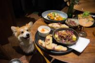 The best dog friendly restaurants in London