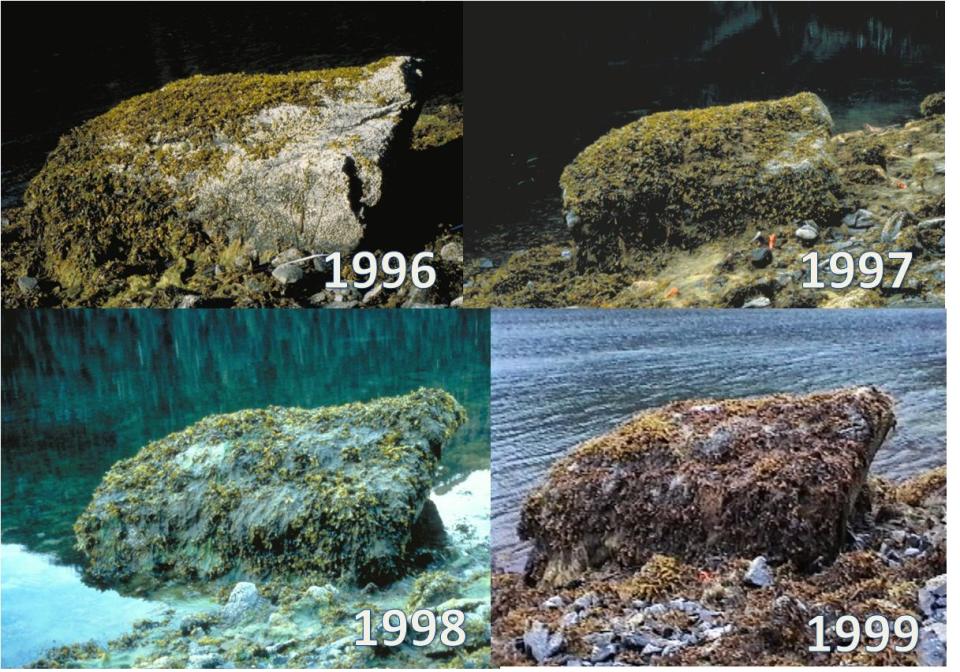 Mearns Rock 1996-1999 | NOAA