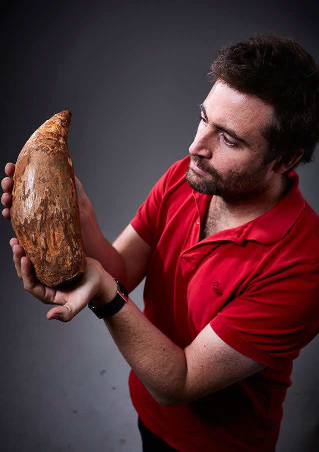 Museum Victoria senior curator Dr Erich Fitzgerald is delighted the prehistoric killer whale fossil has been donated to the museum. Picture: Museum Victoria