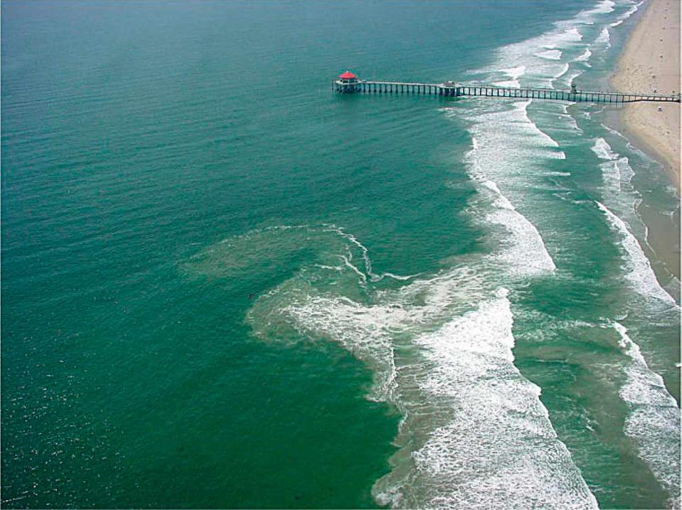 <p> Huntington Beach Lifeguards</p>