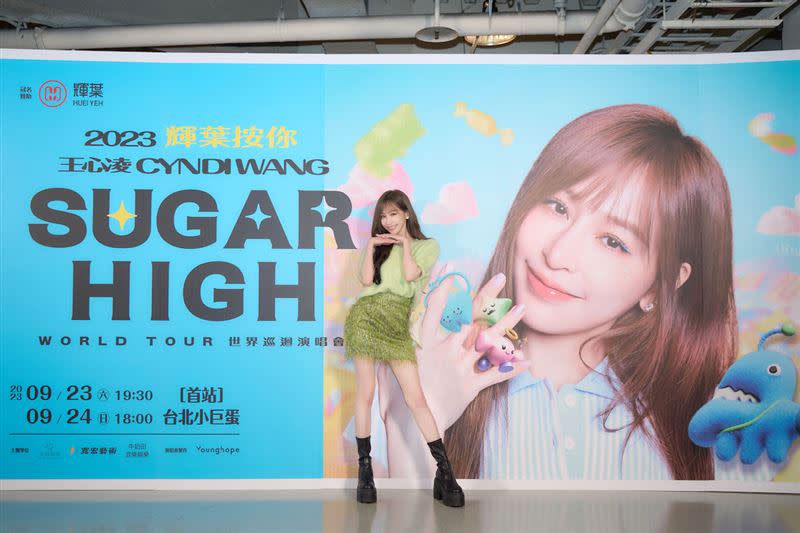 王心凌剛完成「SUGAR HIGH世界巡迴演唱會」。（圖／天晴娛樂提供）