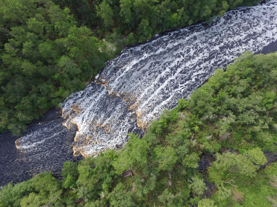 The easy mile-long hike to a scenic overlook makes Big Shoals one of the best Florida state parks for families.