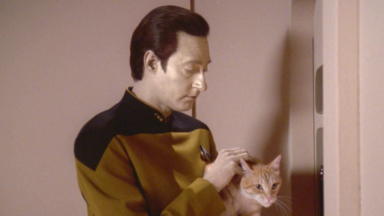 The Cat in “Star Trek”