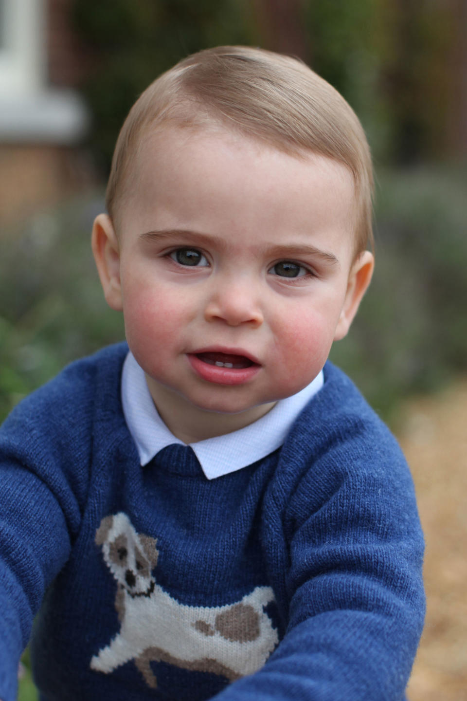 Prince Louis posed for his 1st birthday pictures with the blue Trotters jumper on. [Photo: AP]