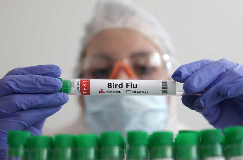 Illustration shows person holding test tube labelled "Bird Flu\