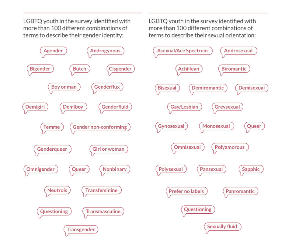 Image: LGBTQ word cloud survey results (The Trevor Project)